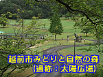 �z�O�s�݂ǂ�Ǝ��R�̐X�i�ʏ́F���z�L��j