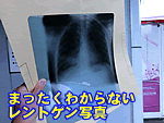 �܂������킩��Ȃ������g�Q���ʐ^
