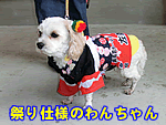 �Ղ�d�l�̂�񂿂��