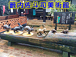 �֓����l�i���p��