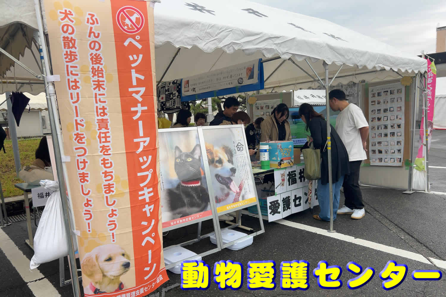 写真050